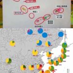 レス49番の画像1