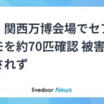 レス1番のリンク先のサムネイル画像