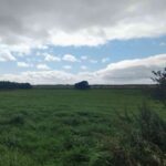 レス19番の画像2