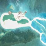 レス1番のリンク先のサムネイル画像