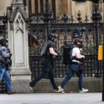 レス17番の画像1