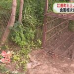 レス1番のリンク先のサムネイル画像