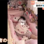 レス1番の画像1