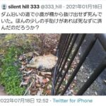 レス11番の画像1