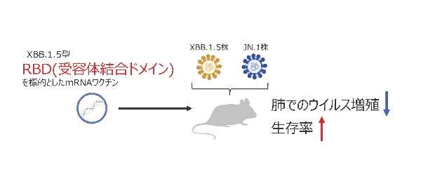 記事サムネイル