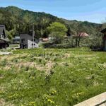 レス24番の画像1