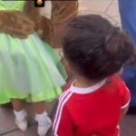 レス28番の画像1