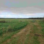 レス19番の画像1