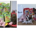 レス1番の画像5