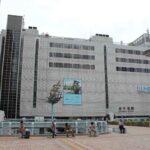 レス13番の画像1