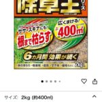 レス22番の画像1