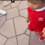 レス28番の画像3