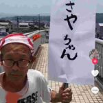 レス43番の画像3