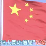 レス1番の画像3