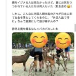 レス2番の画像1