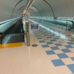 レス81番の画像1