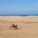 レス44番の画像1