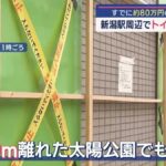 レス13番の画像5