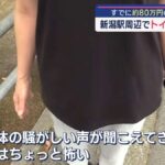 レス13番の画像8