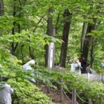 レス1番の画像4