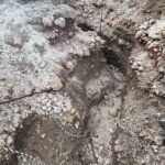 レス9番の画像2