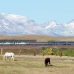 レス23番の画像3