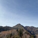 レス8番の画像1