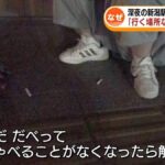 レス22番の画像5