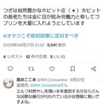 レス1番の画像1