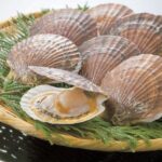 レス1番のリンク先のサムネイル画像