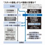 レス8番の画像1