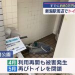 レス13番の画像7