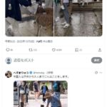 レス1番の画像1