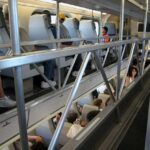 レス22番の画像1