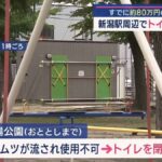 レス13番の画像6