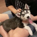 レス1番の画像2