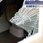 レス13番の画像3