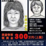 レス5番の画像1