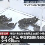 レス1番のリンク先のサムネイル画像