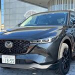 レス43番の画像1