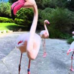 レス1番の画像5