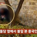 レス16番の画像2