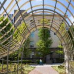 レス61番の画像4