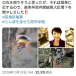 レス1番の画像1