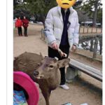 レス1番の画像2