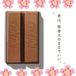 レス65番の画像1