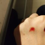 レス8番の画像1