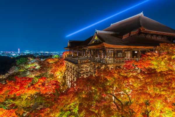 記事サムネイル