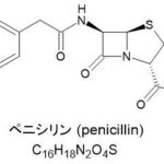 レス38番の画像1
