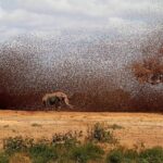 レス13番の画像1